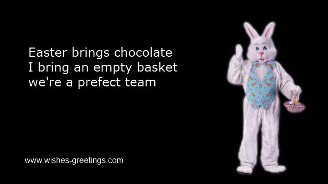 funny easter bunny pictures